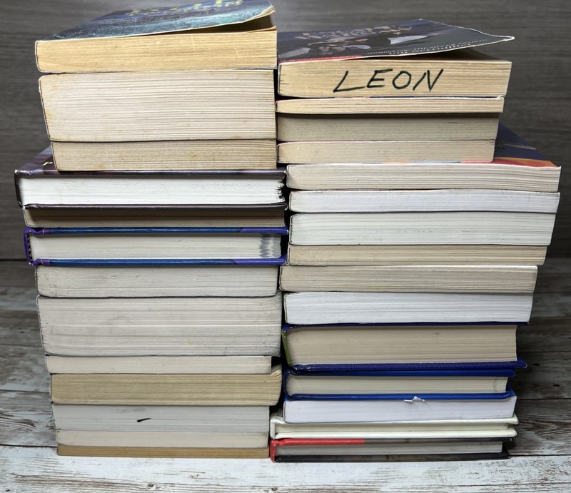 Lot of 28 Grade 3-6 Chapter Books Novels 14lbs / 39 Clues, ECHO , School of Fear gallery