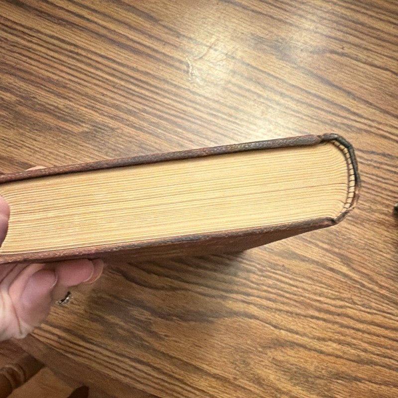 1888 Life of Pope Leo XIII Golden Jubilee Edition Illustrated Catholic Antique gallery